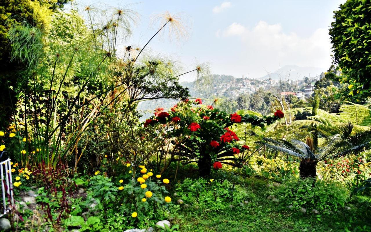 Sood'S Himalayan Vista Kalimpong Exterior foto